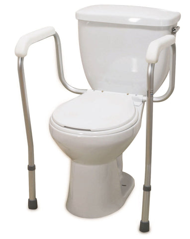 Toilet Safety Rail