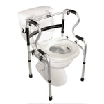 5-in-1 Mobility and Bathroom Aid